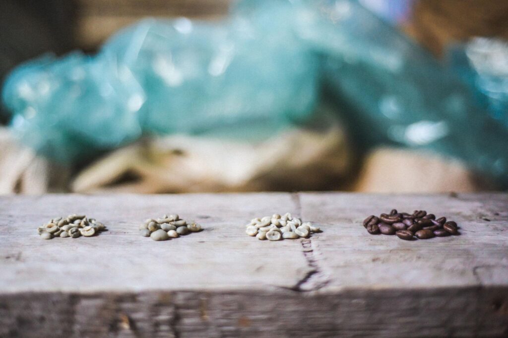 grains de café différentes origines éthiopie colombie brésil