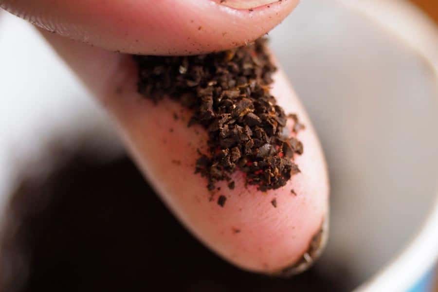 comparaison mouture fine espresso vs mouture grossiere French Press cafetiere a piston